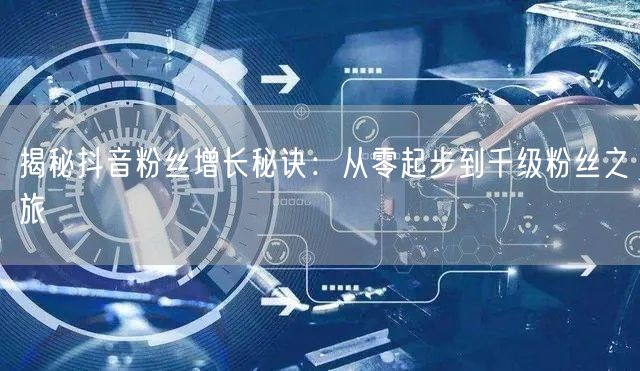 揭秘抖音粉丝增长秘诀：从零起步到千级粉丝之旅