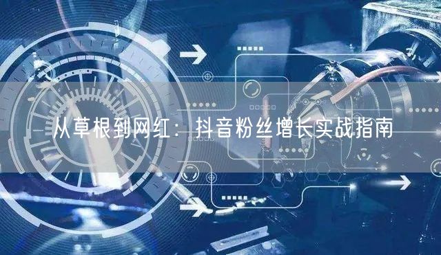从草根到网红：抖音粉丝增长实战指南