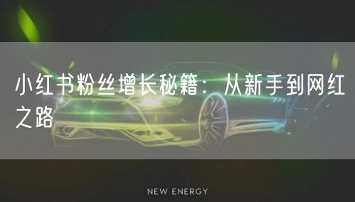小红书粉丝增长秘籍：从新手到网红之路