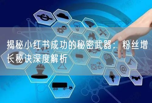 揭秘小红书成功的秘密武器：粉丝增长秘诀深度解析