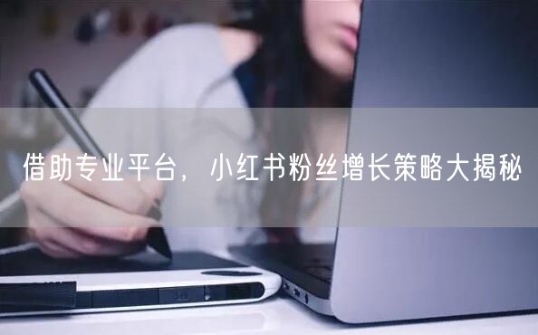 借助专业平台，小红书粉丝增长策略大揭秘
