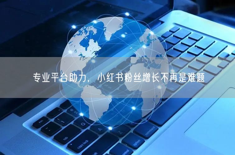 专业平台助力，小红书粉丝增长不再是难题