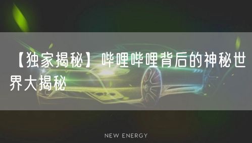 【独家揭秘】哔哩哔哩背后的神秘世界大揭秘