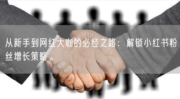 从新手到网红大咖的必经之路：解锁小红书粉丝增长策略。