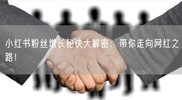 小红书粉丝增长秘诀大解密：带你走向网红之路！