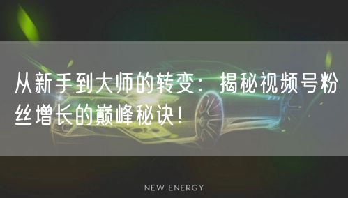 从新手到大师的转变：揭秘视频号粉丝增长的巅峰秘诀！