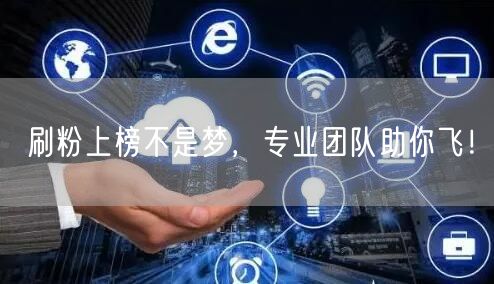 刷粉上榜不是梦，专业团队助你飞！