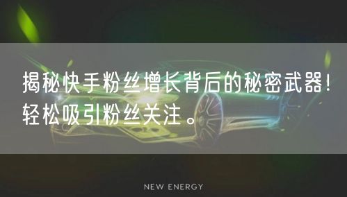 揭秘快手粉丝增长背后的秘密武器！轻松吸引粉丝关注。