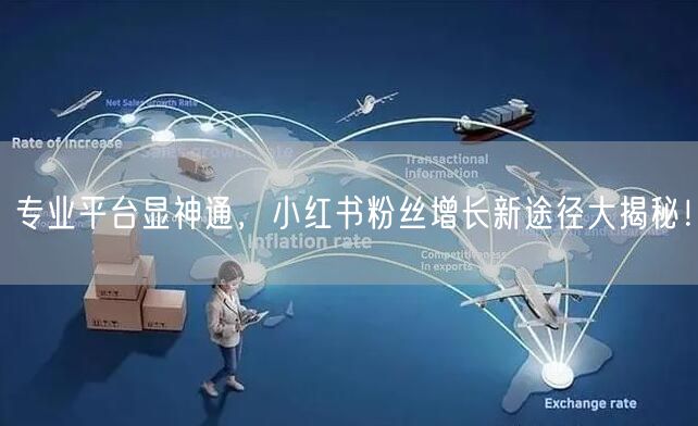 专业平台显神通，小红书粉丝增长新途径大揭秘！