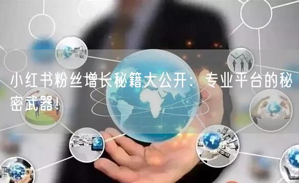 小红书粉丝增长秘籍大公开：专业平台的秘密武器！
