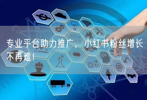 专业平台助力推广，小红书粉丝增长不再难！