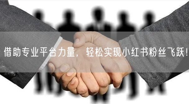 借助专业平台力量，轻松实现小红书粉丝飞跃！