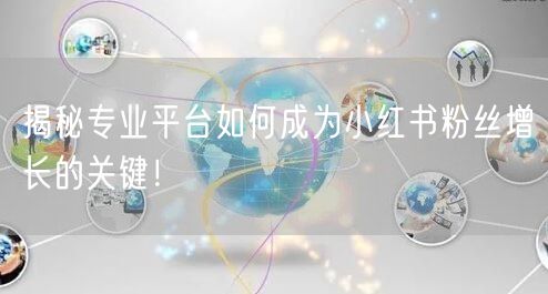 揭秘专业平台如何成为小红书粉丝增长的关键！