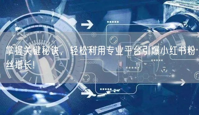 掌握关键秘诀，轻松利用专业平台引爆小红书粉丝增长!