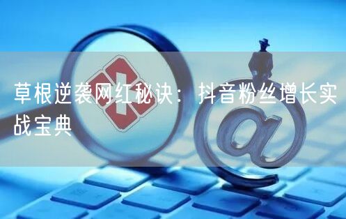 草根逆袭网红秘诀：抖音粉丝增长实战宝典
