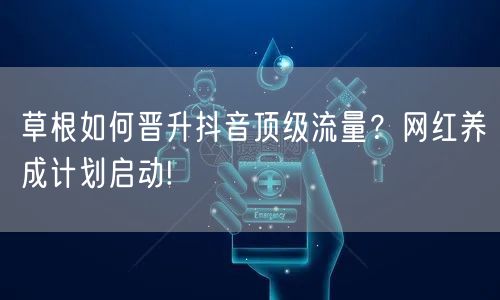 草根如何晋升抖音顶级流量？网红养成计划启动!