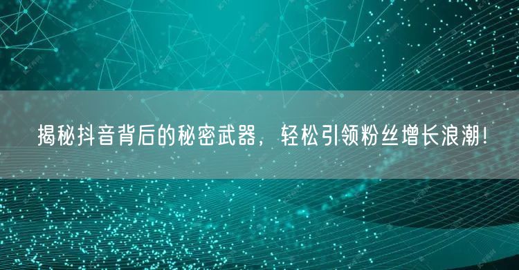揭秘抖音背后的秘密武器，轻松引领粉丝增长浪潮！