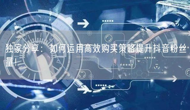 独家分享：如何运用高效购买策略提升抖音粉丝量！