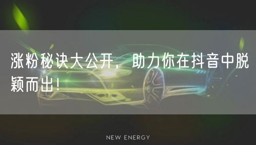 涨粉秘诀大公开，助力你在抖音中脱颖而出！