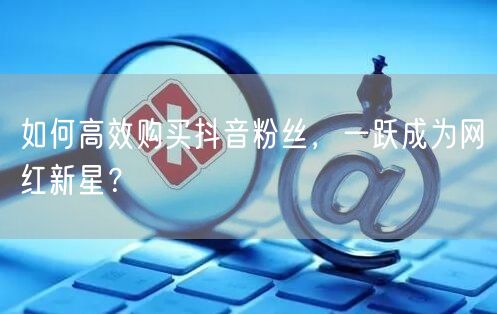 如何高效购买抖音粉丝，一跃成为网红新星？