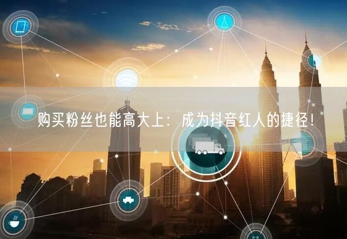 购买粉丝也能高大上：成为抖音红人的捷径！