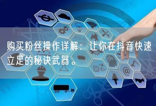 购买粉丝操作详解：让你在抖音快速立足的秘诀武器。