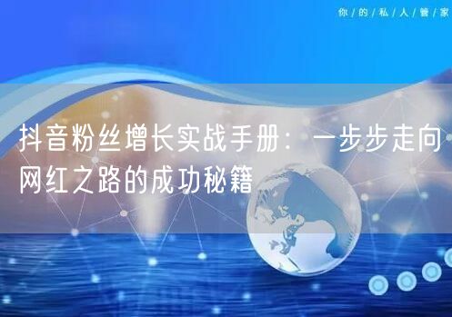 抖音粉丝增长实战手册：一步步走向网红之路的成功秘籍