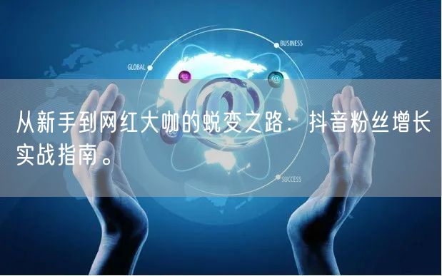 从新手到网红大咖的蜕变之路：抖音粉丝增长实战指南。
