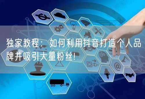 独家教程：如何利用抖音打造个人品牌并吸引大量粉丝!