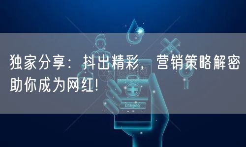 独家分享：抖出精彩，营销策略解密助你成为网红!