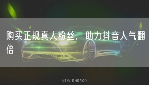 购买正规真人粉丝，助力抖音人气翻倍