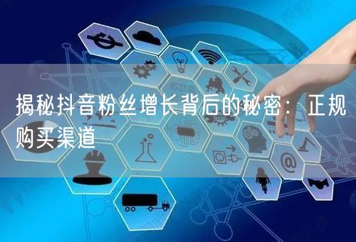 揭秘抖音粉丝增长背后的秘密：正规购买渠道