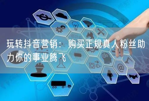 玩转抖音营销：购买正规真人粉丝助力你的事业腾飞