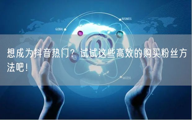 想成为抖音热门？试试这些高效的购买粉丝方法吧！