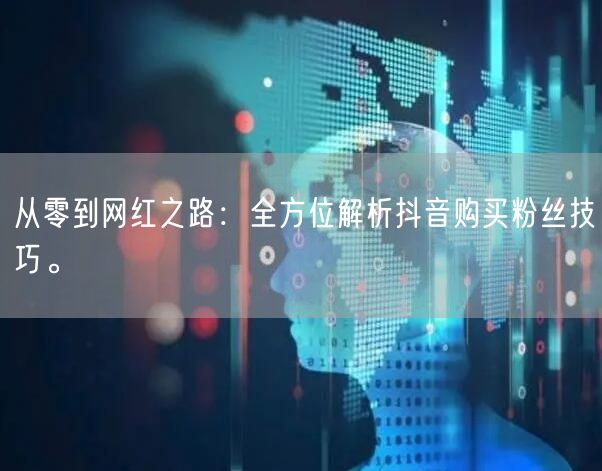 从零到网红之路：全方位解析抖音购买粉丝技巧。
