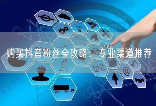 购买抖音粉丝全攻略：专业渠道推荐