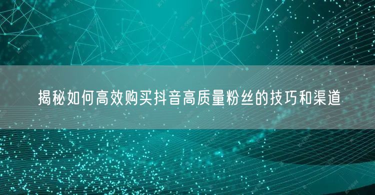 揭秘如何高效购买抖音高质量粉丝的技巧和渠道