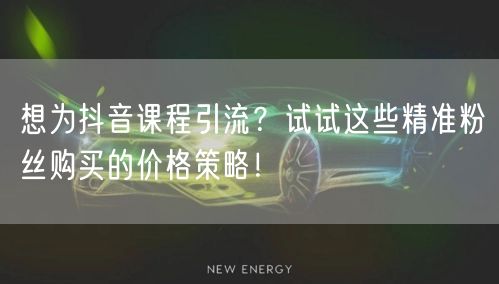 想为抖音课程引流？试试这些精准粉丝购买的价格策略！