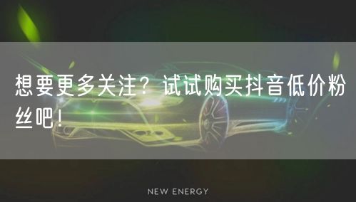 想要更多关注？试试购买抖音低价粉丝吧！