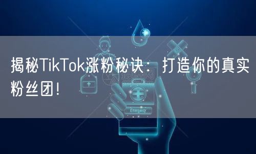 揭秘TikTok涨粉秘诀：打造你的真实粉丝团！