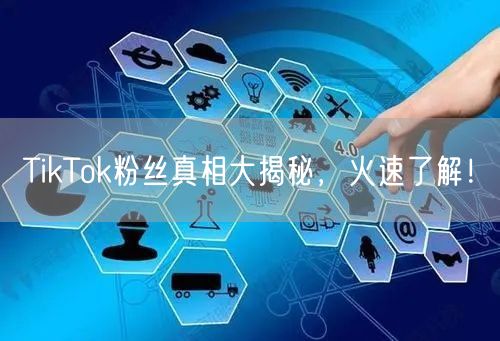TikTok粉丝真相大揭秘，火速了解！