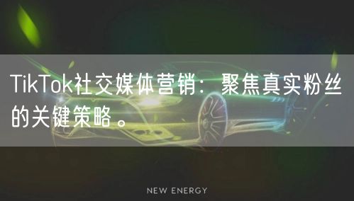 TikTok社交媒体营销：聚焦真实粉丝的关键策略。