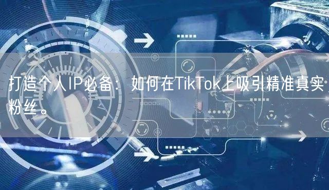 打造个人IP必备：如何在TikTok上吸引精准真实粉丝。