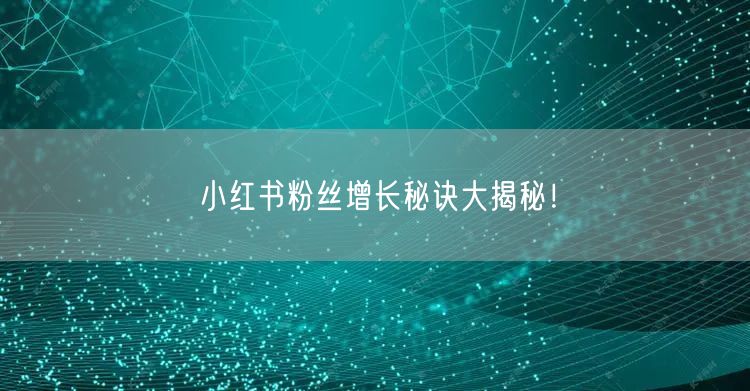 小红书粉丝增长秘诀大揭秘！