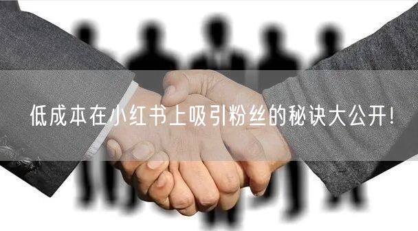 低成本在小红书上吸引粉丝的秘诀大公开！