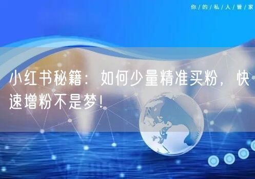 小红书秘籍：如何少量精准买粉，快速增粉不是梦！