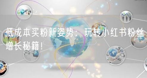 低成本买粉新姿势：玩转小红书粉丝增长秘籍！