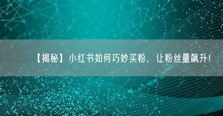 【揭秘】小红书如何巧妙买粉，让粉丝量飙升！