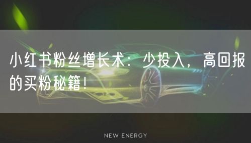 小红书粉丝增长术：少投入，高回报的买粉秘籍！