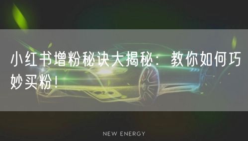 小红书增粉秘诀大揭秘：教你如何巧妙买粉！